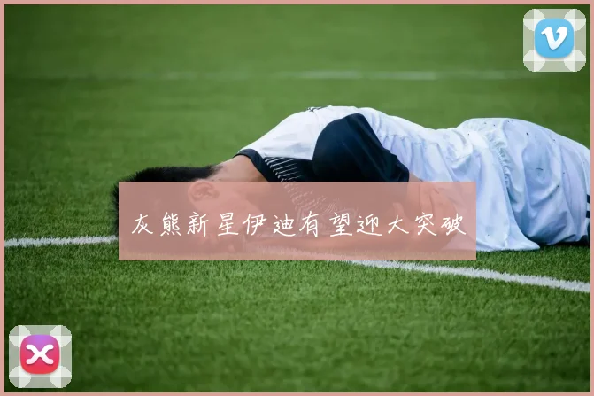 灰熊新星伊迪有望迎大突破