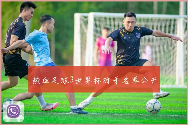 热血足球3世界杯对手名单公开