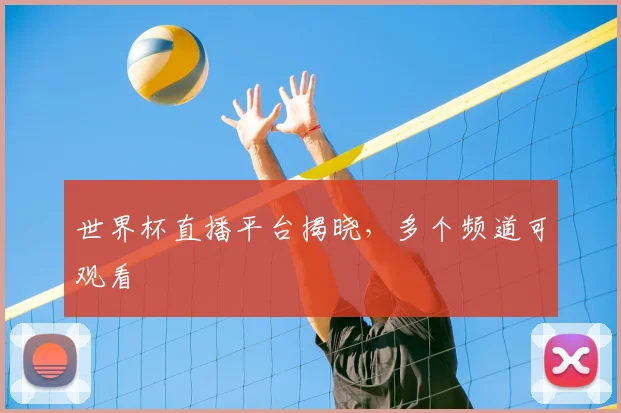 世界杯直播平台揭晓,多个频道可观看