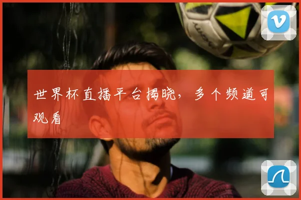 世界杯直播平台揭晓,多个频道可观看